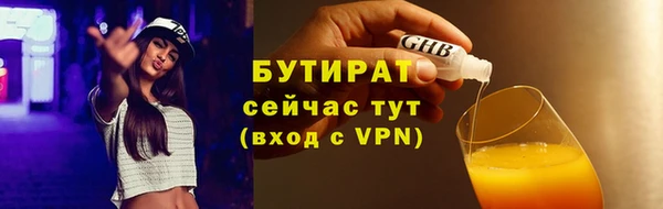 индика Нязепетровск