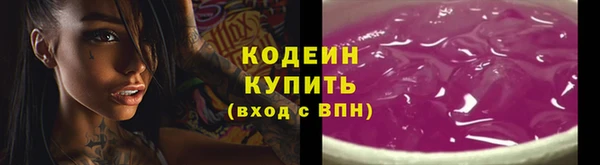 индика Нязепетровск