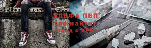 индика Нязепетровск
