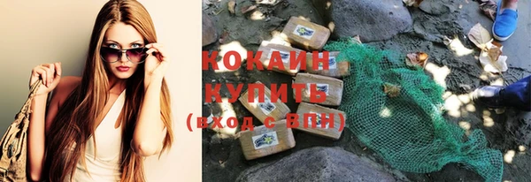 индика Нязепетровск