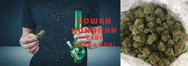 индика Нязепетровск